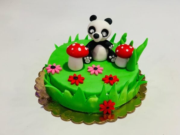 Fondant Cake Class - Image 7